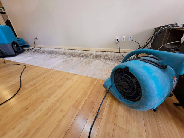Professional Ceiling Water Damage Repair technician working in Sussex, WI
